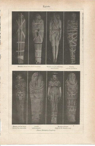 LAMINA ESPASA 35527: Momias de Egipto en el Museo Britanico