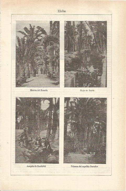 LAMINA ESPASA 35573: Jardines de Elche, Alicante