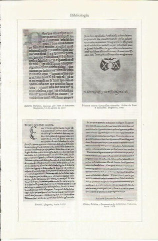 LAMINA ESPASA 35763: Bibliologia del siglo XV