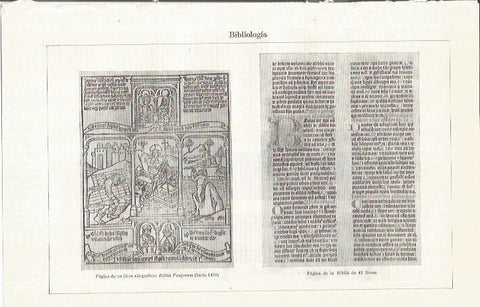 LAMINA ESPASA 35762: Biblia Pauporum 