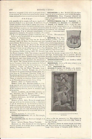 LAMINA ESPASA 35683: Escudo de Eneriz, Navarra