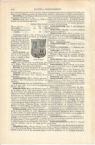 LAMINA ESPASA 35697: Escudo de Enova, Valencia
