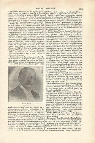 LAMINA ESPASA 35693: Enrique Engler