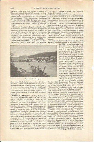 LAMINA ESPASA 35690: Vista de Engelhardszell, Austria