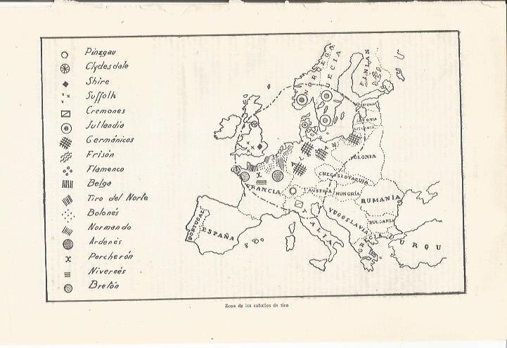 LAMINA ESPASA 35360: Mapa de Europa de caballos de tiro