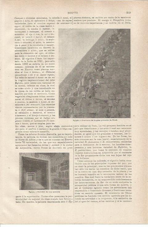LAMINA ESPASA 35495: Detalle de la Piramide de Keops