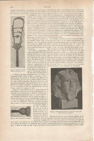 LAMINA ESPASA 35490: Amenemet III