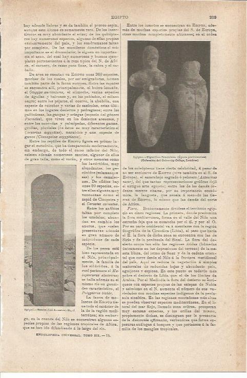 LAMINA ESPASA 35489: Figurillas femeninas del Egipto prehistorico