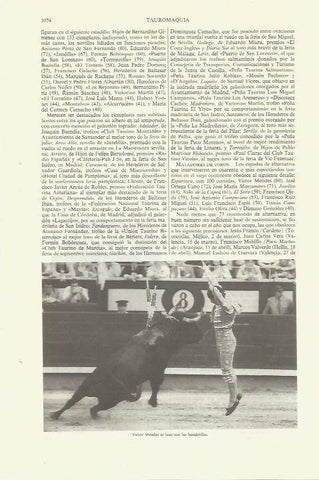 LAMINA ESPASA 35433: Victor Mendes poniendo banderillas