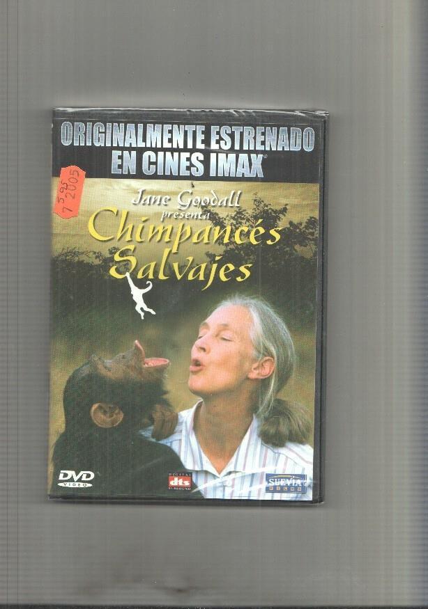 Cine DVD: Chimpances Salvajes 