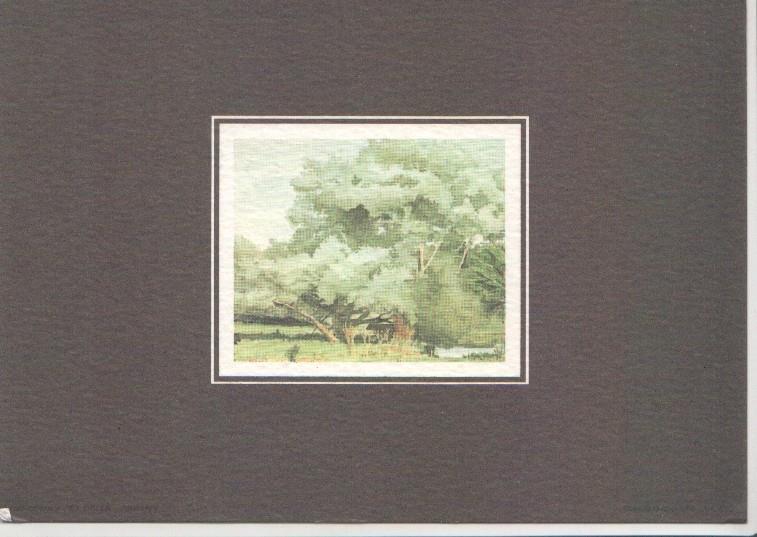 Postal JC0418: Pintura de paisaje