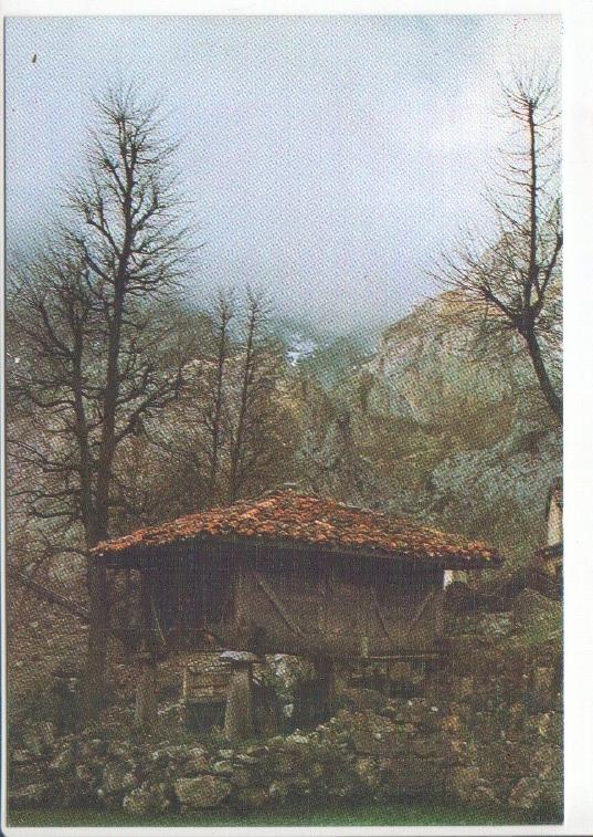 Postal JC0428: Picos de Europa. Horreo