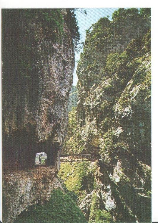 Postal JC0430: Picos de Europa. Desfiladero del Rio Cares. Puente de los rebecos