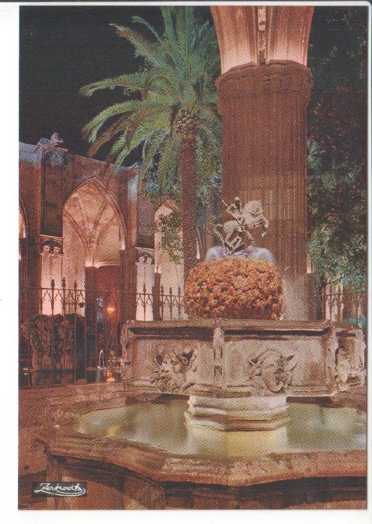 Postal JC0483: Barcelona. Catedral. Detalle del Claustro de noche