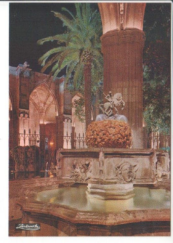 Postal JC0483: Barcelona. Catedral. Detalle del Claustro de noche
