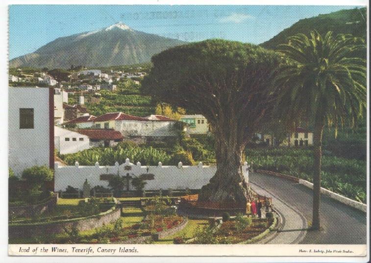 Postal JC0554: Icod of the Wine. Tenerife, Canary, Islands