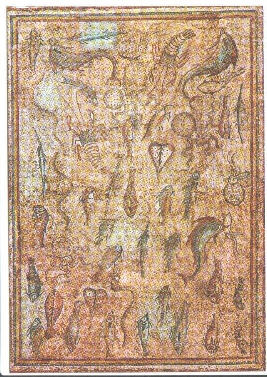 Postal JC0565: Tarragona, Costa Dorada. Museo Arqueologico. Mosaico con peces