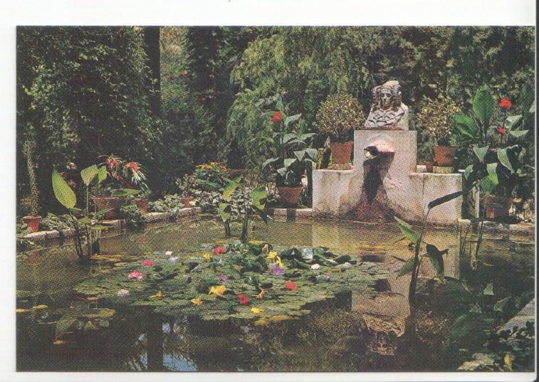 Postal JC0580: Elche. Huerto del Cura. El tocador de la Dama de Elche