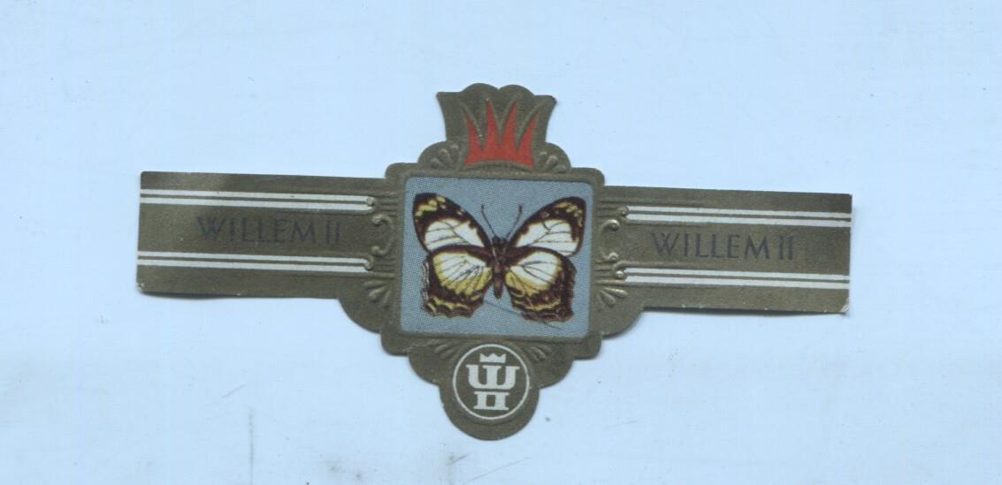 Vitola de Puro Willem II numero 2479 serie V Mynes geoffroyi sestia