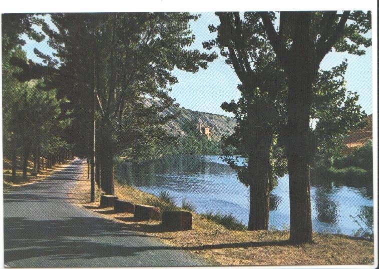 Postal JC0798: Soria. Rio Duero y camino de San Saturio