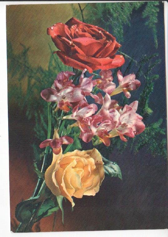 Postal JC0842: Rosas y otras flores