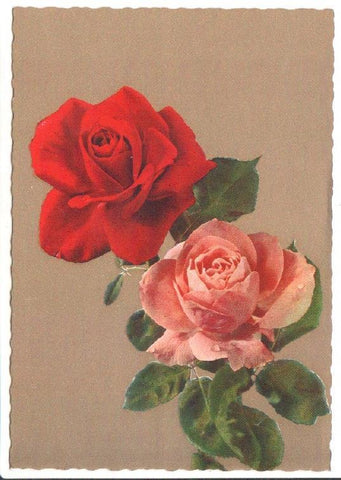 Postal JC0847: Dos rosas, una de color rojo y otra rosa. Postal metalizada