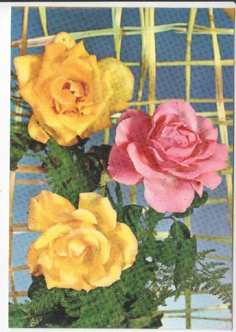 Postal JC0848: Dos rosas amarillas y rosa de color roja