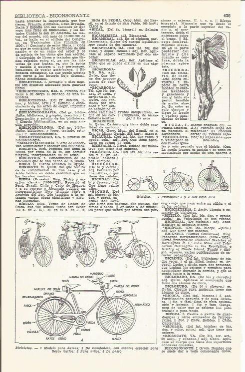 LAMINA 21412: Bicicletas