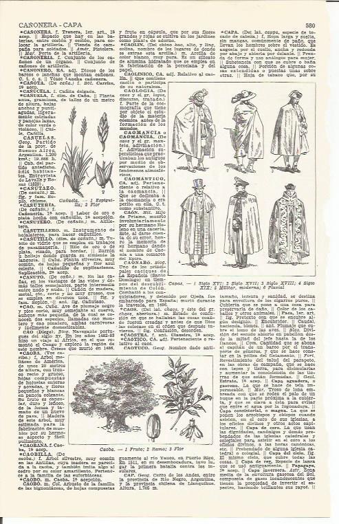 LAMINA 21438: Tipos de capa