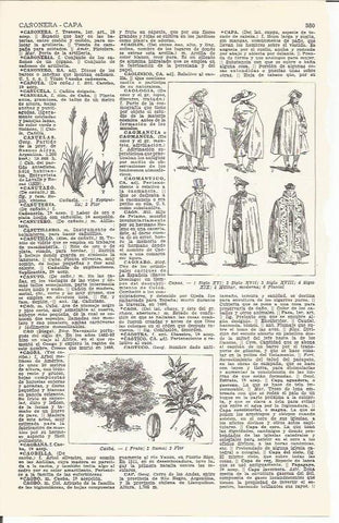 LAMINA 21438: Tipos de capa