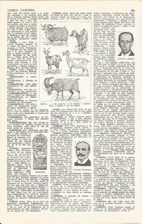 LAMINA 21430: Especies de cabras