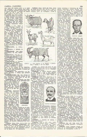 LAMINA 21430: Especies de cabras