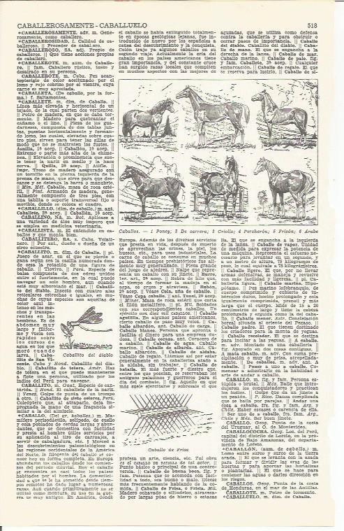 LAMINA 21429: Especies de caballos