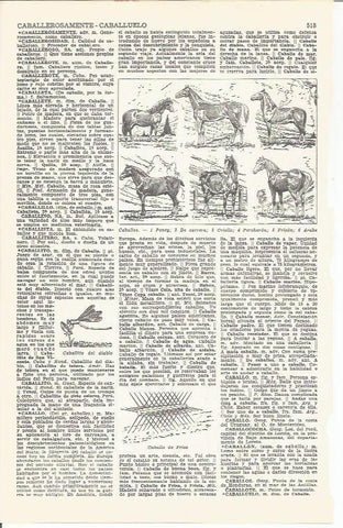 LAMINA 21429: Especies de caballos