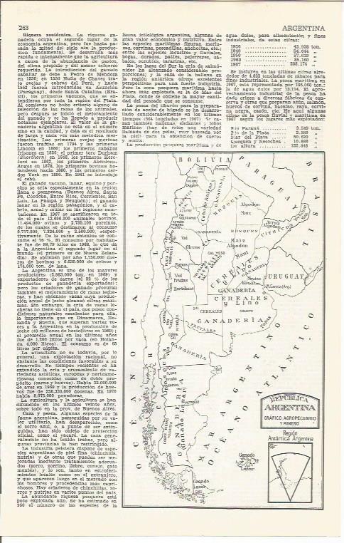 LAMINA 21383: Mapa de Argentina