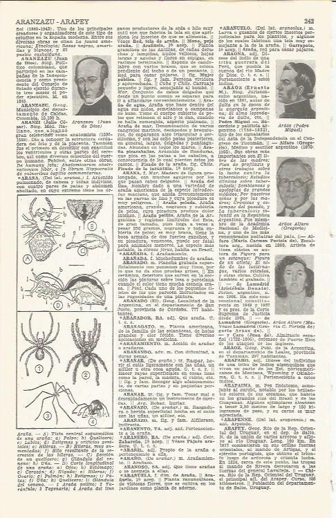LAMINA 21380: Tipos de araña