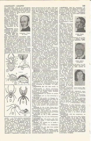 LAMINA 21380: Tipos de araña