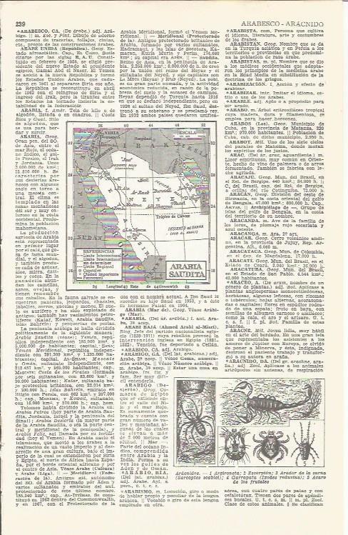 LAMINA 21379: Mapa de Arabia Saudi