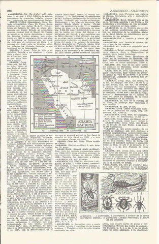 LAMINA 21379: Mapa de Arabia Saudi
