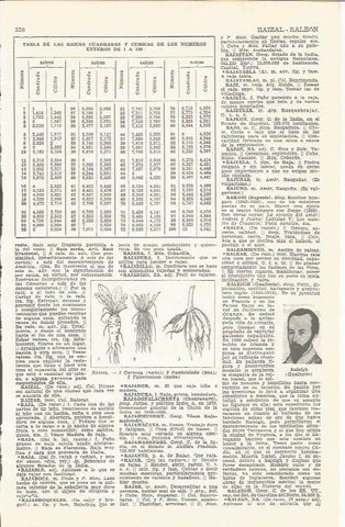 LAMINA 21501: Tabla de raices cuadradas