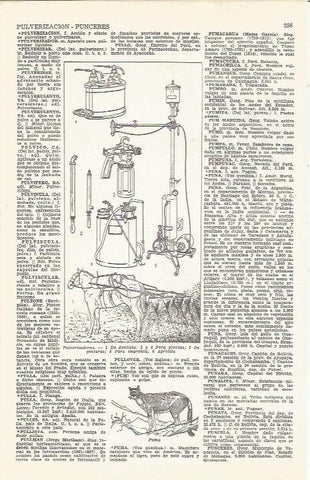 LAMINA 21497: Pulverizadores