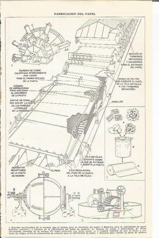 LAMINA 21461: Fabricacion de papel
