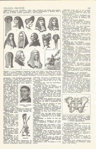 LAMINA 21467: Tipos de pelucas