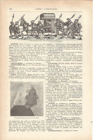 LAMINA 21190: Frank Liszt en 1884, por F. Lenbach