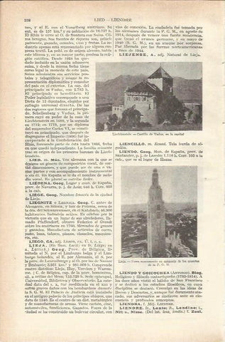 LAMINA 21187: Castillo de Vaduz en Liechtenstein