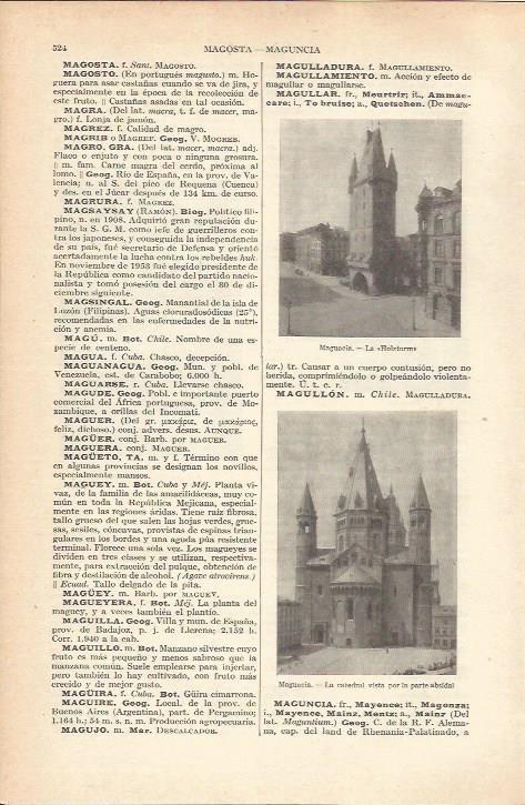 LAMINA 21215: La Holzturm en Maguncia, Alemania
