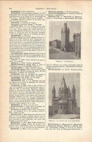 LAMINA 21215: La Holzturm en Maguncia, Alemania
