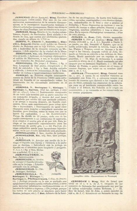 LAMINA 21151: Relieve hitita de Karatepe