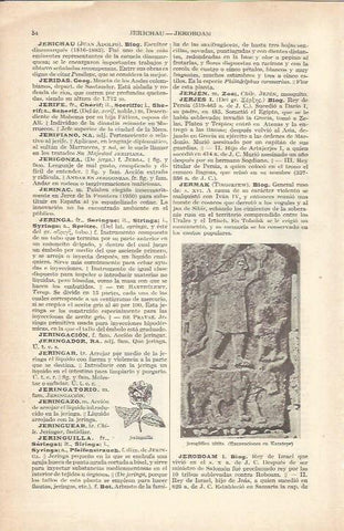 LAMINA 21151: Relieve hitita de Karatepe