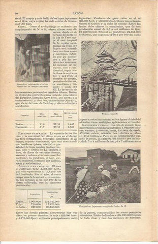 LAMINA 21141: Templo y campensinas de Japon